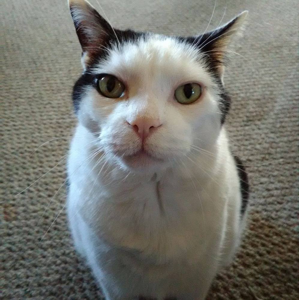 Meet your Posher, Teresa